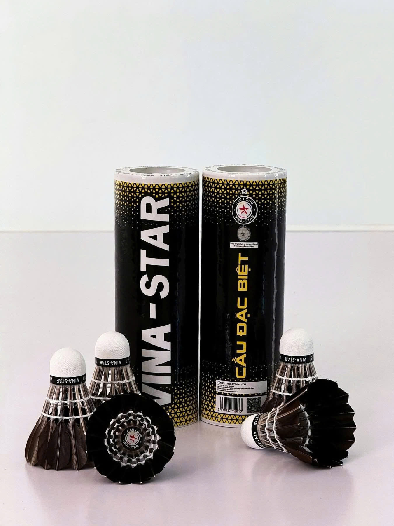 Cầu Bóng Đêm VinaStar